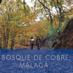 bosque de cobre