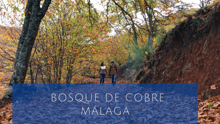 bosque de cobre