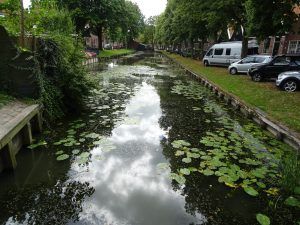 Edam