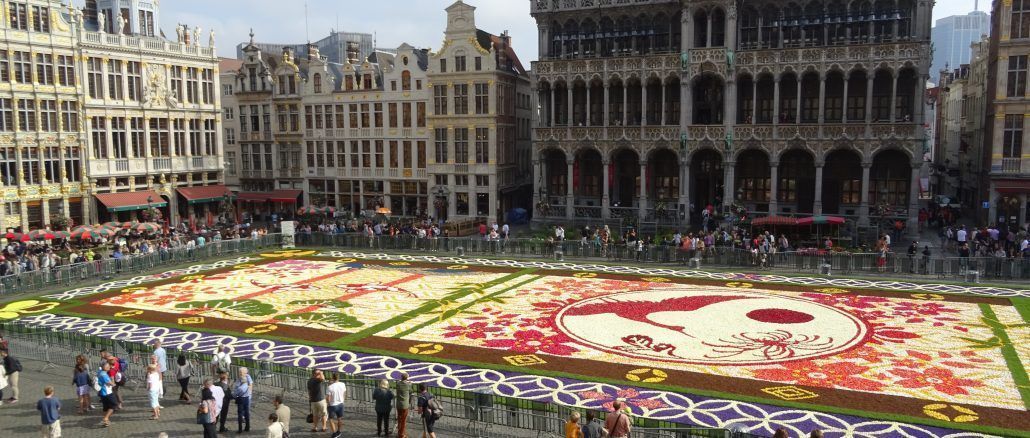 Alfrombra de Flores de Bruselas