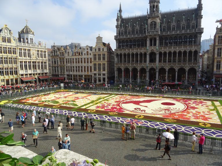 Alfrombra de Flores de Bruselas