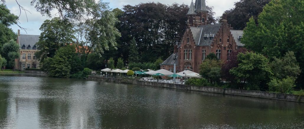 brujas y gantes en un día