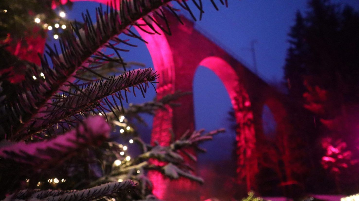 cuanto cuesta un viaje a la selva negra en navidad