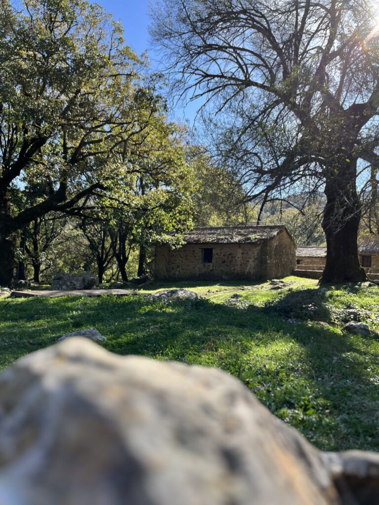 cabañas de la sauceda