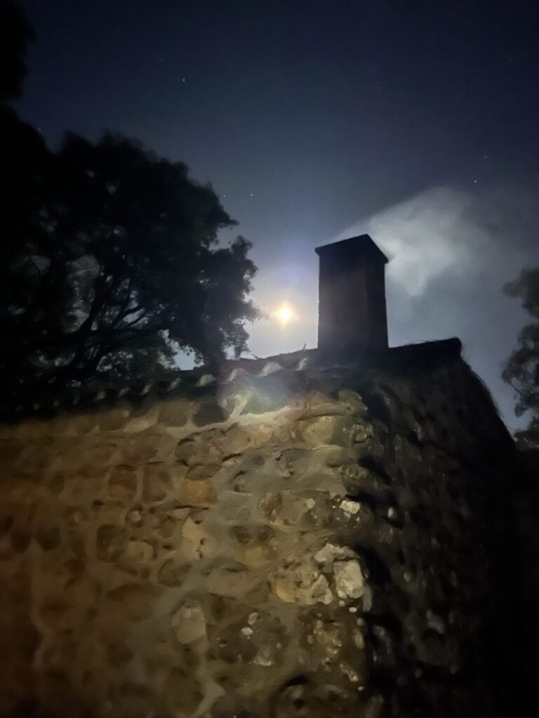 las cabañas de la sauceda