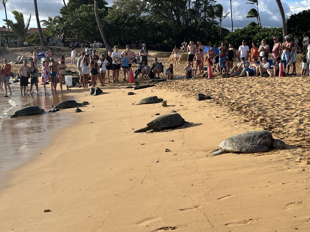poipu beach