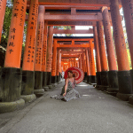 la mejor ruta por japón en 13 días